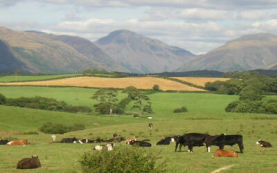 Apply for the Farming Equipment & Technology Fund 29 May – 10 July 2025