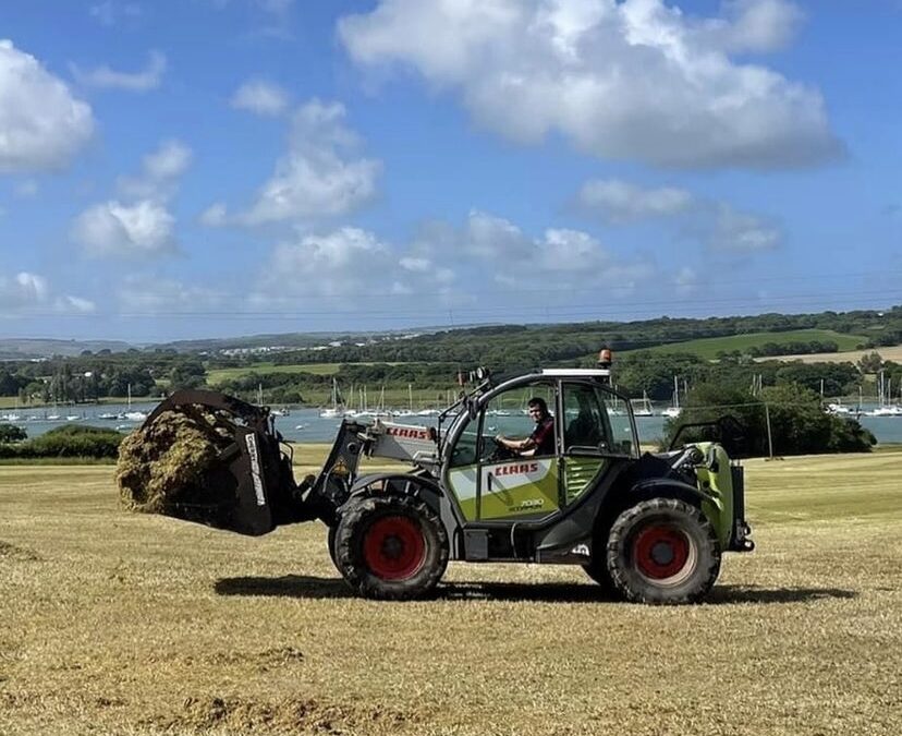 Wight Rural Hub Publishes June Newsletter – Spotlight on the RIWAS Rural Careers Fund