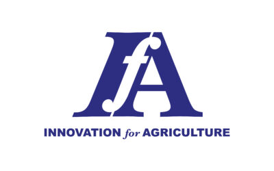 Feature Advisor Article – July 2025