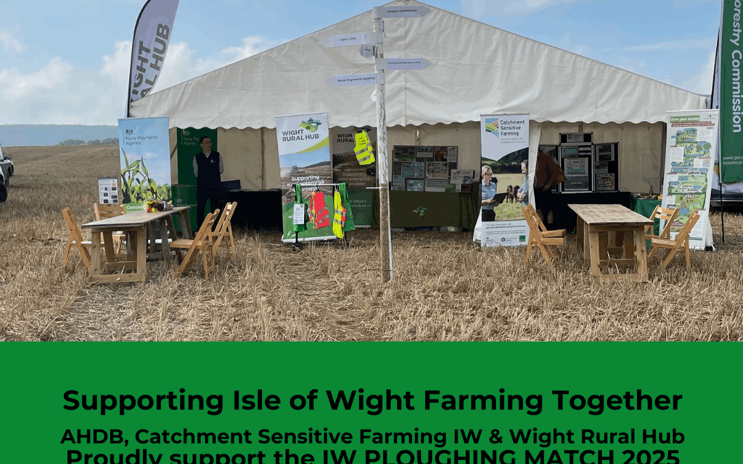 Celebrating Rural Heritage at the Isle of Wight Ploughing Match
