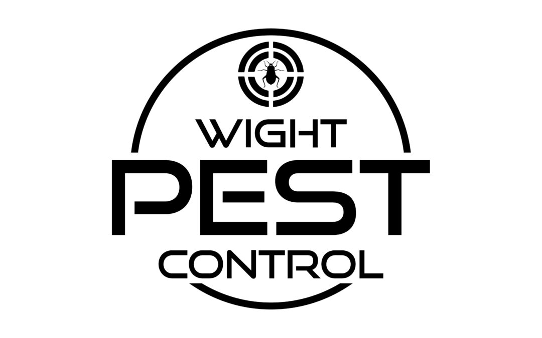 Feature Advisor Article – Wight Pest Control – January 2026