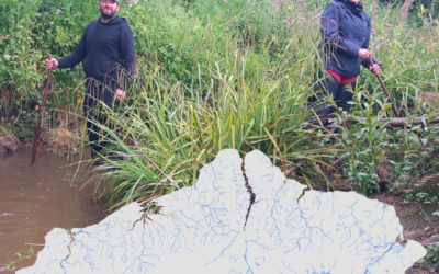 Advisor Article: Funding support for farmers, landowners and land managers